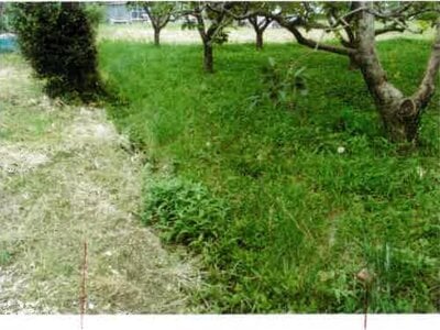 愛知県豊橋市 三河一宮駅29分 土地 308万円の競売物件情報 #5