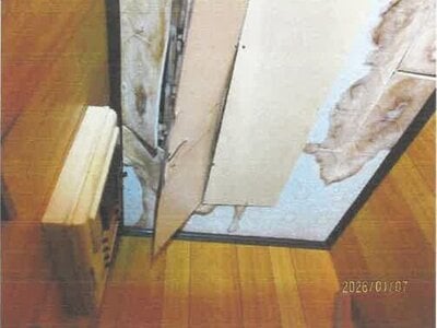 徳島県板野郡上板町 牛島駅 戸建て 401万円の競売物件情報 #13