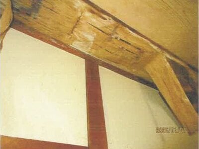 徳島県板野郡上板町 牛島駅 戸建て 401万円の競売物件情報 #17