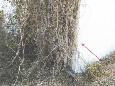 徳島県板野郡上板町 牛島駅 戸建て 401万円の競売物件情報 #34