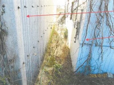 徳島県板野郡上板町 牛島駅 戸建て 401万円の競売物件情報 #36