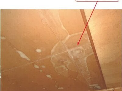 徳島県美馬郡つるぎ町 阿波半田駅 戸建て 63万円の競売物件情報 #11