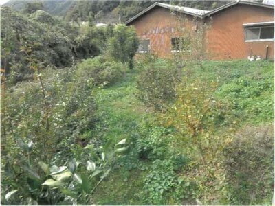 徳島県美馬郡つるぎ町 阿波半田駅 戸建て 63万円の競売物件情報 #4