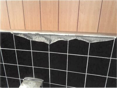 徳島県板野郡上板町 牛島駅 戸建て 665万円の競売物件情報 #21