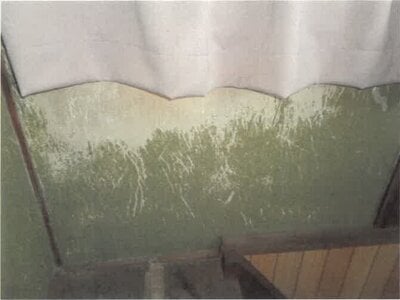 徳島県板野郡上板町 牛島駅 戸建て 665万円の競売物件情報 #25