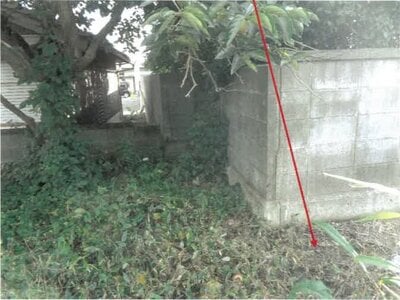 徳島県板野郡上板町 牛島駅 戸建て 71万円の競売物件情報 #4