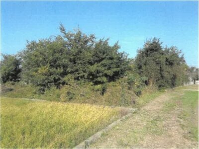 徳島県吉野川市 鴨島駅19分 戸建て 487万円の競売物件情報 #21