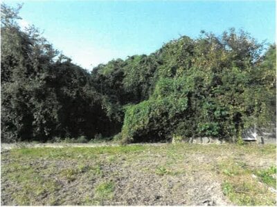 徳島県吉野川市 鴨島駅19分 戸建て 487万円の競売物件情報 #22