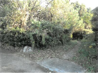 徳島県吉野川市 鴨島駅19分 戸建て 487万円の競売物件情報 #4