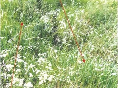 香川県丸亀市 岡田駅20分 農地 18万円の競売物件情報 #2