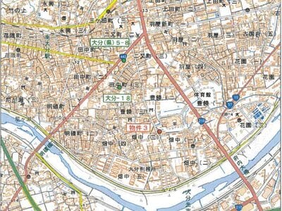 大分県大分市 南大分駅18分 土地 1,288万円の競売物件情報 #6
