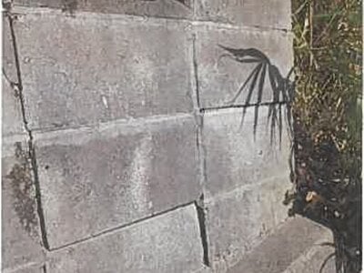 大分県臼杵市 上臼杵駅5分 戸建て 91万円の競売物件情報 #12