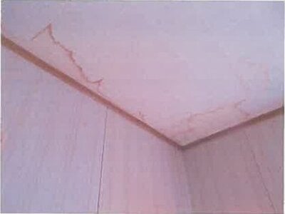 大分県臼杵市 上臼杵駅5分 戸建て 91万円の競売物件情報 #14