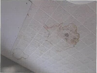 大分県臼杵市 上臼杵駅5分 戸建て 91万円の競売物件情報 #15