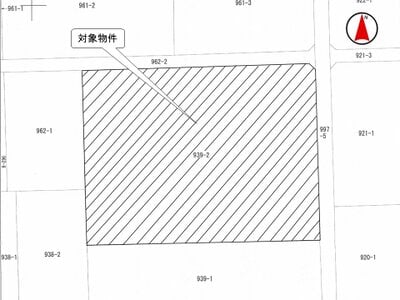 群馬県太田市 藪塚駅 農地 232万円の国税庁公売物件情報 #3