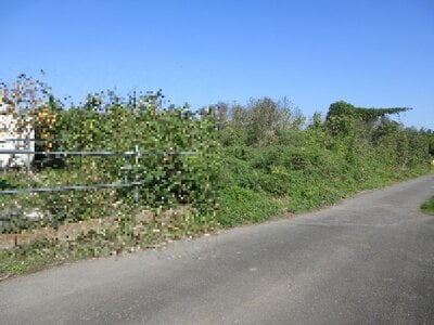 埼玉県鴻巣市 鴻巣駅22分 農地 426万円の国税庁公売物件情報 #2