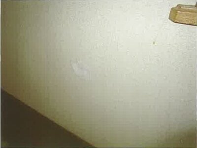 北海道苫小牧市 沼ノ端駅22分 戸建て 920万円の競売物件情報 #8