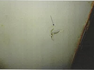 北海道札幌市東区 新道東駅11分 戸建て 6,240万円の競売物件情報 #23