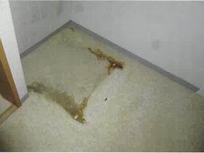 北海道小樽市 南小樽駅2分 マンション「ヴェルビュ南小樽」693万円の競売物件情報 #6