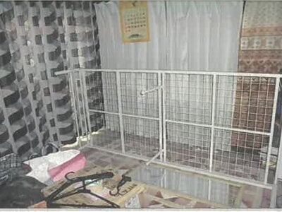 (値下げ) 秋田県秋田市 土崎駅4分 戸建て 68万円の競売物件情報 #11