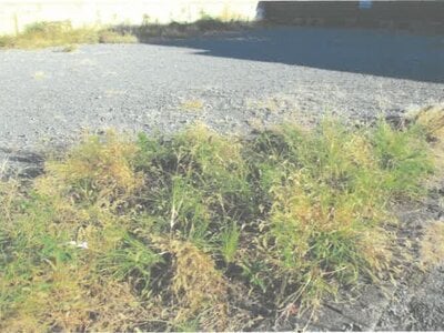 (値下げ) 茨城県結城市 結城駅5分 土地 267万円の競売物件情報 #2