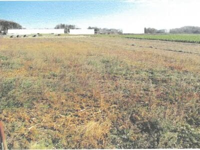 茨城県結城郡八千代町 下妻駅 農地 75万円の競売物件情報 #2