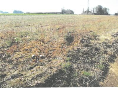 茨城県結城郡八千代町 下妻駅 農地 75万円の競売物件情報 #3