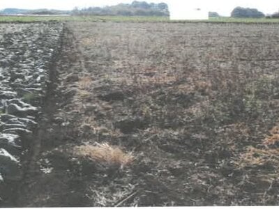 茨城県結城郡八千代町 下妻駅 農地 75万円の競売物件情報 #4