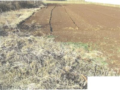 茨城県結城郡八千代町 下妻駅 農地 27万円の競売物件情報 #2