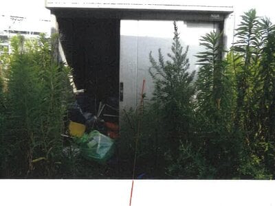 愛知県西尾市 吉良吉田駅 戸建て 467万円の競売物件情報 #6