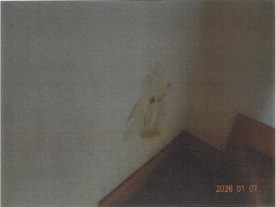 大阪府羽曳野市 恵我ノ荘駅6分 戸建て 179万円の競売物件情報 #14