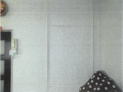 大阪府堺市東区 北野田駅18分 戸建て 481万円の競売物件情報 #10