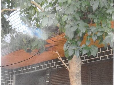 (値下げ) 大阪府堺市西区 浜寺公園駅11分 戸建て 313万円の競売物件情報 #3