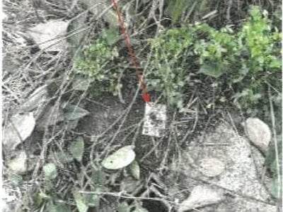 (値下げ) 香川県善通寺市 善通寺駅13分 土地 78万円の競売物件情報 #2