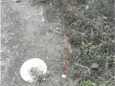 (値下げ) 香川県善通寺市 善通寺駅13分 土地 78万円の競売物件情報 #5