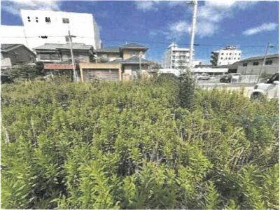 (値下げ) 香川県善通寺市 善通寺駅13分 土地 78万円の競売物件情報 #8