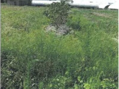 (値下げ) 香川県善通寺市 金蔵寺駅24分 農地 130万円の競売物件情報 #4