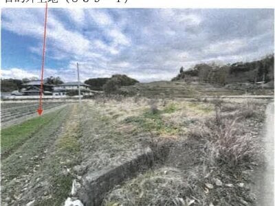 香川県綾歌郡綾川町 羽床駅23分 農地 144万円の競売物件情報 #6