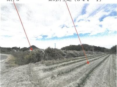 香川県綾歌郡綾川町 羽床駅23分 農地 142万円の競売物件情報 #2