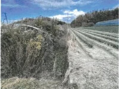 香川県綾歌郡綾川町 羽床駅23分 農地 142万円の競売物件情報 #3