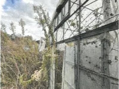 香川県綾歌郡綾川町 羽床駅23分 農地 142万円の競売物件情報 #6