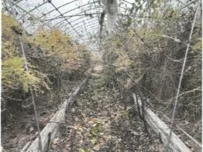 香川県綾歌郡綾川町 羽床駅23分 農地 142万円の競売物件情報 #7