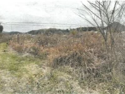 香川県綾歌郡綾川町 羽床駅23分 農地 64万円の競売物件情報 #2