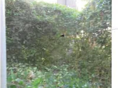 静岡県牧之原市 戸建て 504万円の競売物件情報 #7