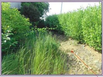 (値下げ) 静岡県榛原郡吉田町 六合駅 戸建て 438万円の競売物件情報 #10