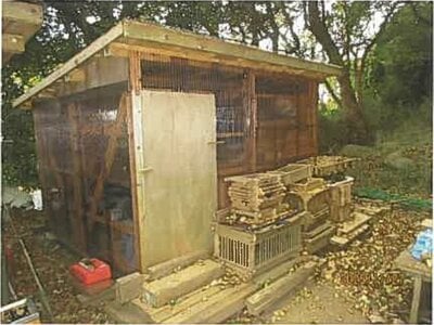 静岡県沼津市 土地 391万円の競売物件情報 #18