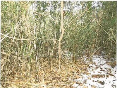 静岡県田方郡函南町 函南駅 戸建て 482万円の競売物件情報 #8