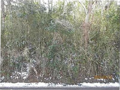 静岡県田方郡函南町 函南駅 戸建て 482万円の競売物件情報 #9