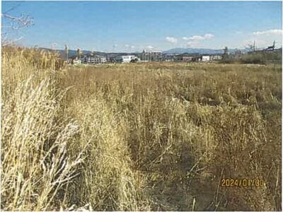 (値下げ) 静岡県沼津市 片浜駅9分 農地 29万円の競売物件情報 #2