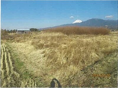 (値下げ) 静岡県沼津市 片浜駅9分 農地 29万円の競売物件情報 #5